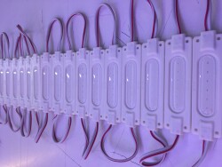 (10 ADET) COB LED MODÜL MAVİ MERCEKSİZ ALS-181M - 1