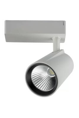 40W 3200K Gün Işığı Beyaz Lyon Led Ray Spot YL29 4102 - 1